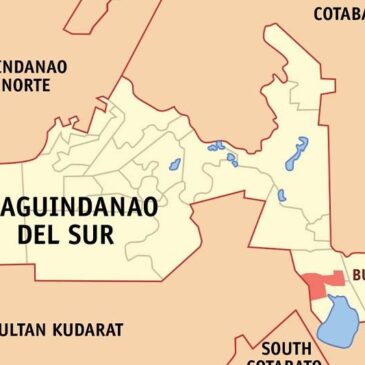 2 soldiers, 4 Dawlah Islamiya members hurt in Maguindanao del Sur clash